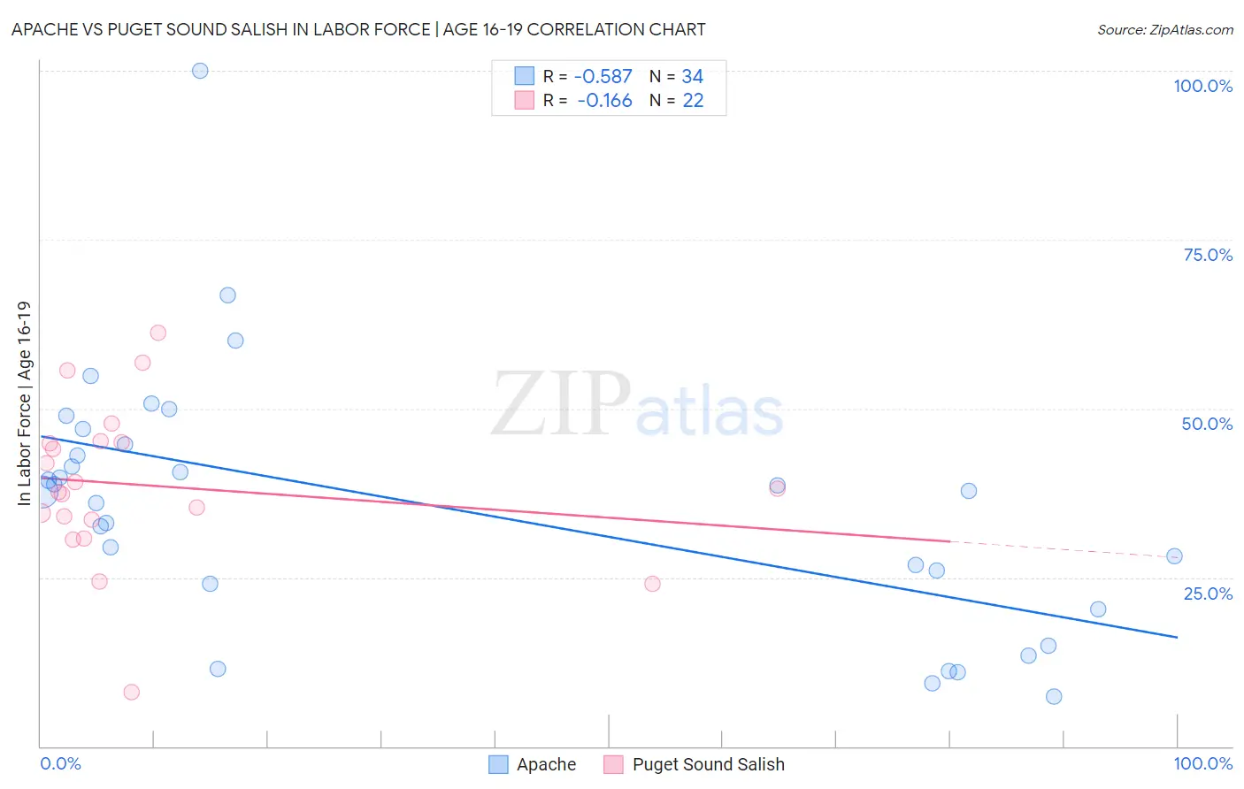 Apache vs Puget Sound Salish In Labor Force | Age 16-19
