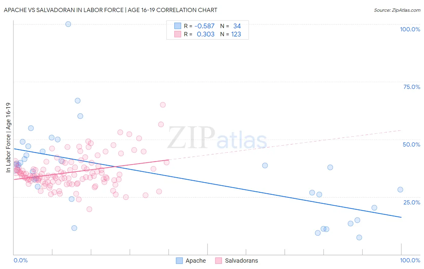 Apache vs Salvadoran In Labor Force | Age 16-19