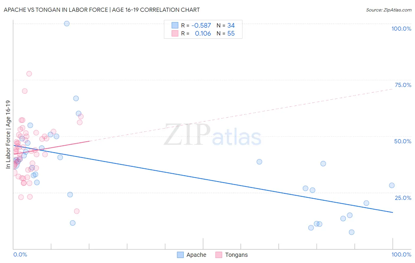 Apache vs Tongan In Labor Force | Age 16-19