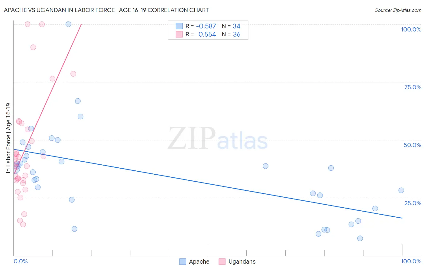 Apache vs Ugandan In Labor Force | Age 16-19