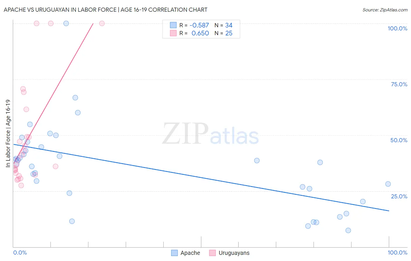 Apache vs Uruguayan In Labor Force | Age 16-19