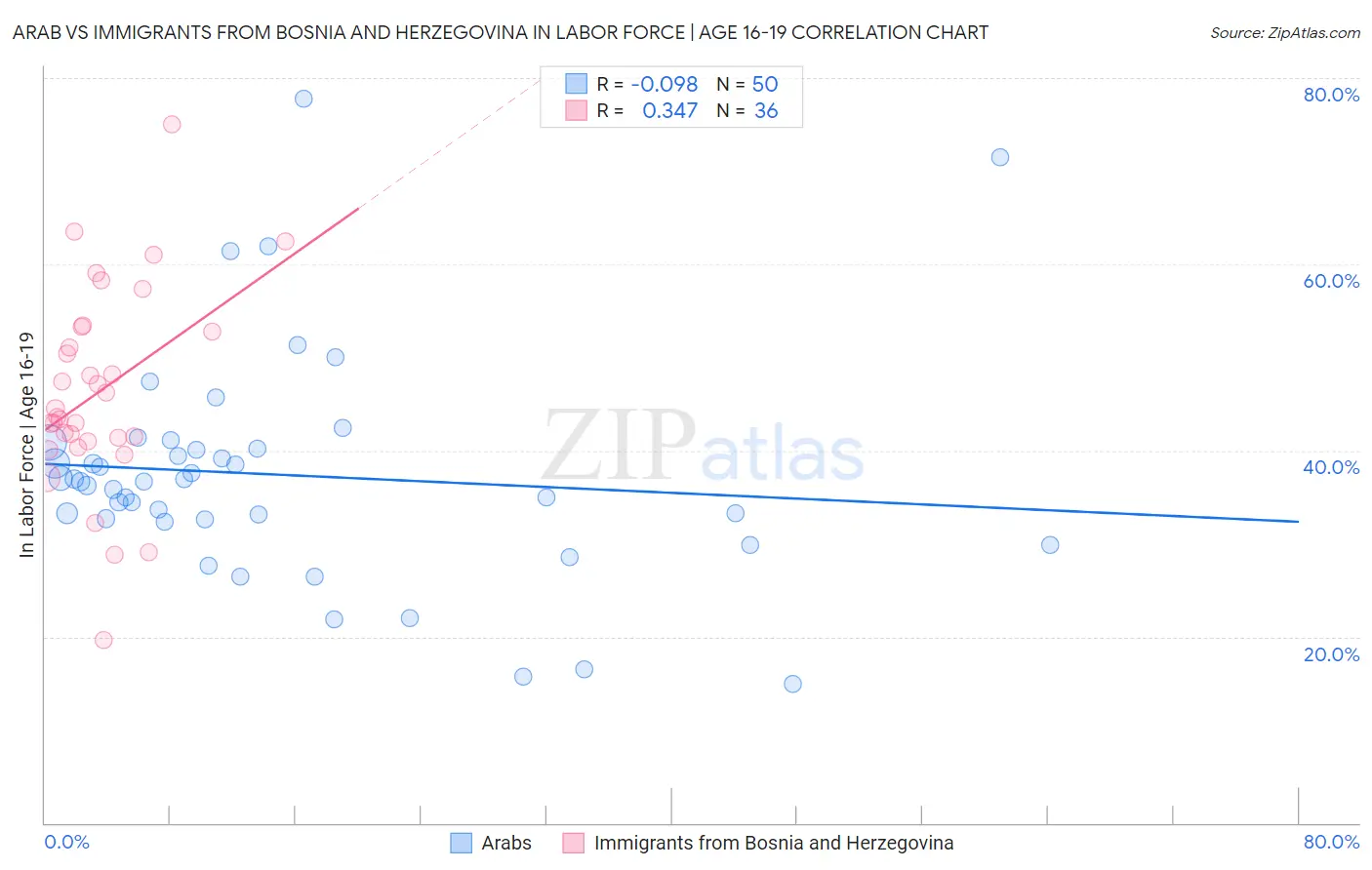 Arab vs Immigrants from Bosnia and Herzegovina In Labor Force | Age 16-19