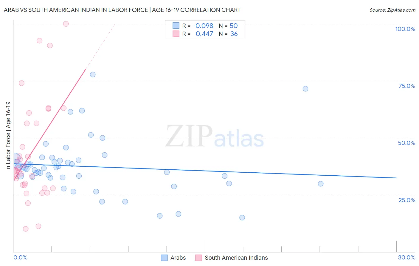Arab vs South American Indian In Labor Force | Age 16-19