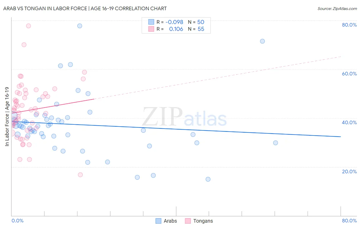 Arab vs Tongan In Labor Force | Age 16-19