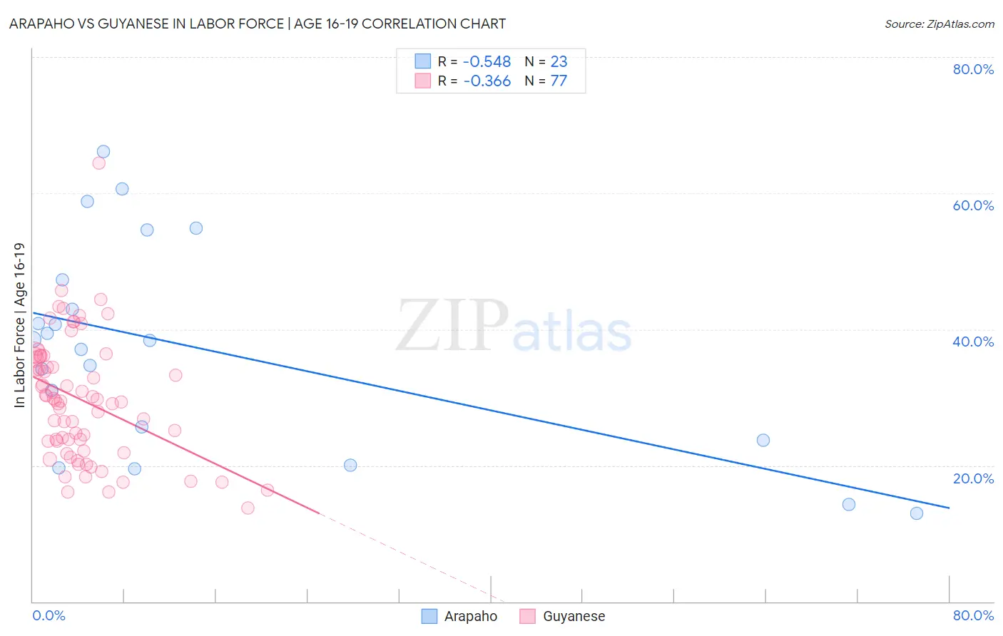 Arapaho vs Guyanese In Labor Force | Age 16-19