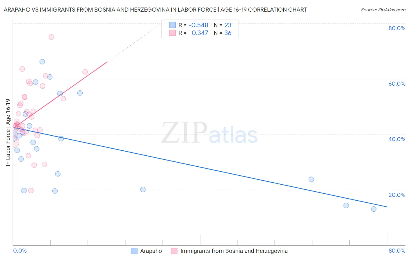 Arapaho vs Immigrants from Bosnia and Herzegovina In Labor Force | Age 16-19