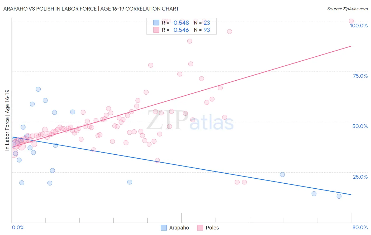 Arapaho vs Polish In Labor Force | Age 16-19