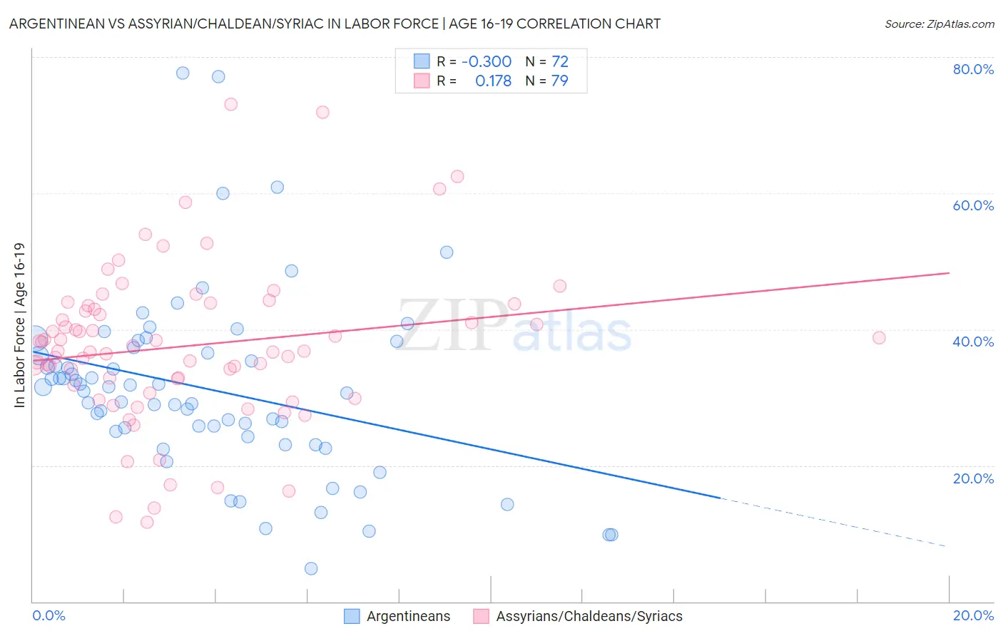 Argentinean vs Assyrian/Chaldean/Syriac In Labor Force | Age 16-19