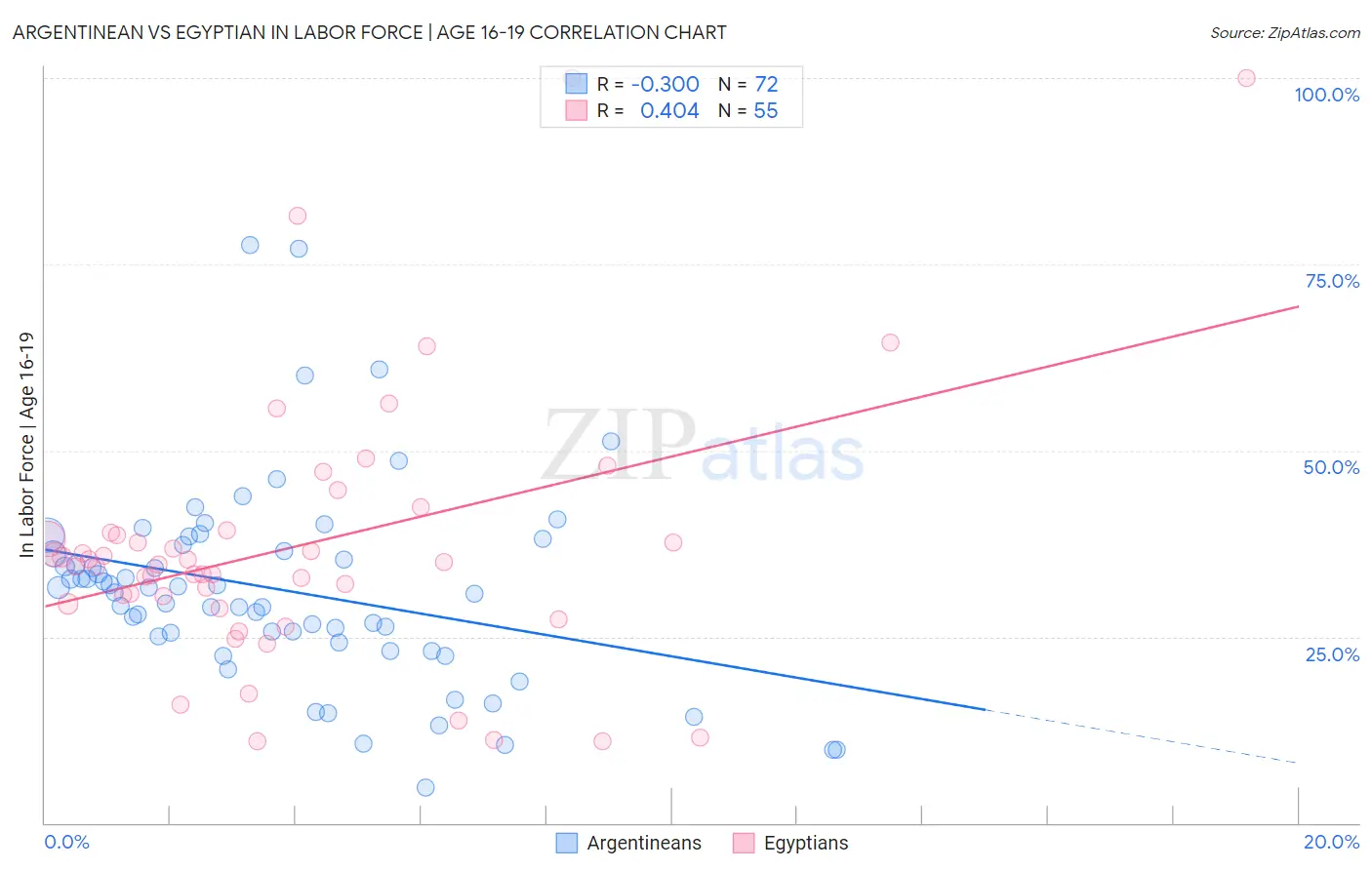 Argentinean vs Egyptian In Labor Force | Age 16-19