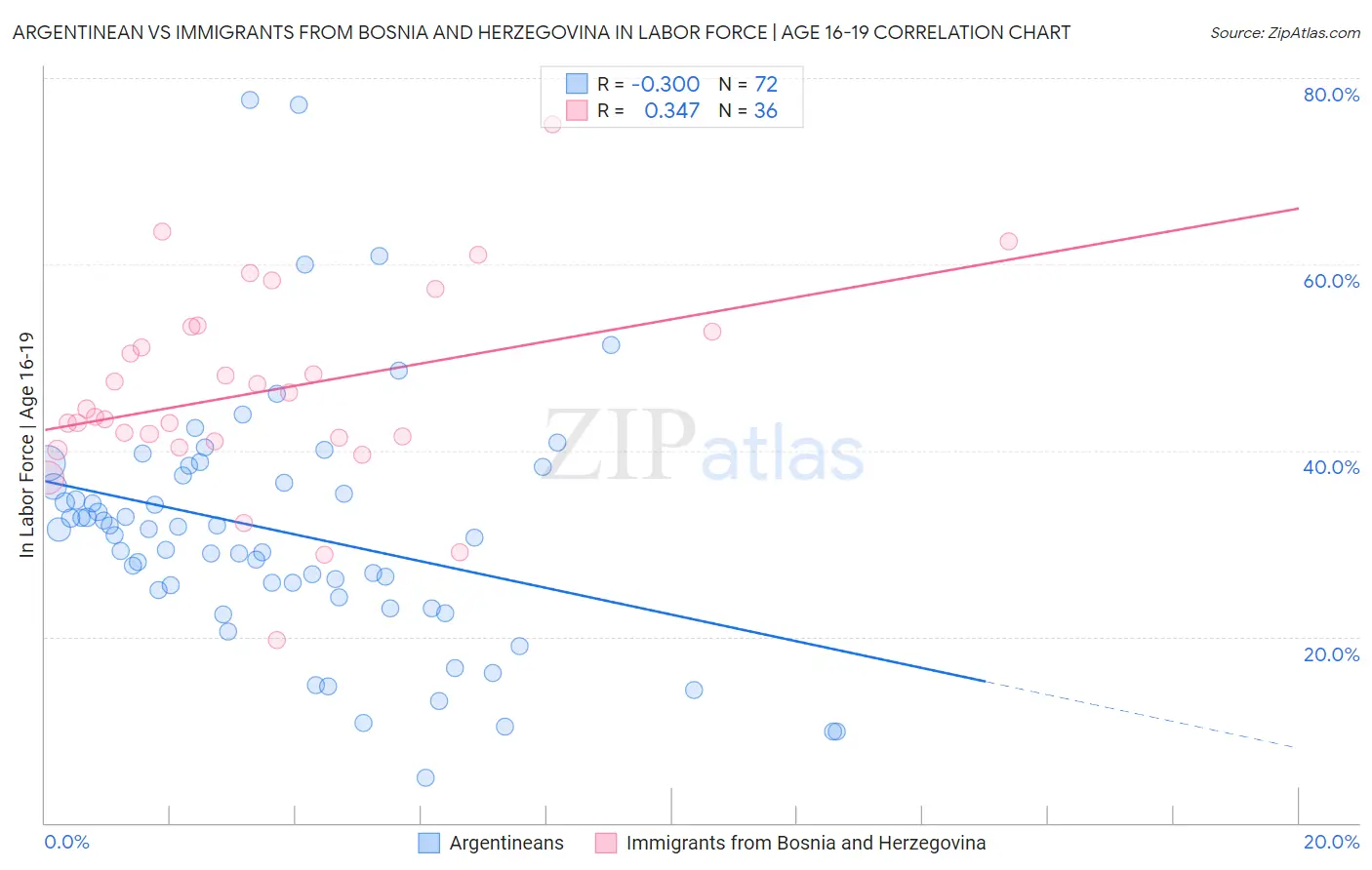 Argentinean vs Immigrants from Bosnia and Herzegovina In Labor Force | Age 16-19