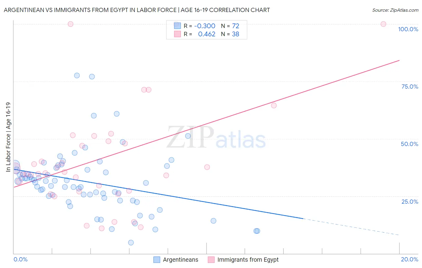 Argentinean vs Immigrants from Egypt In Labor Force | Age 16-19