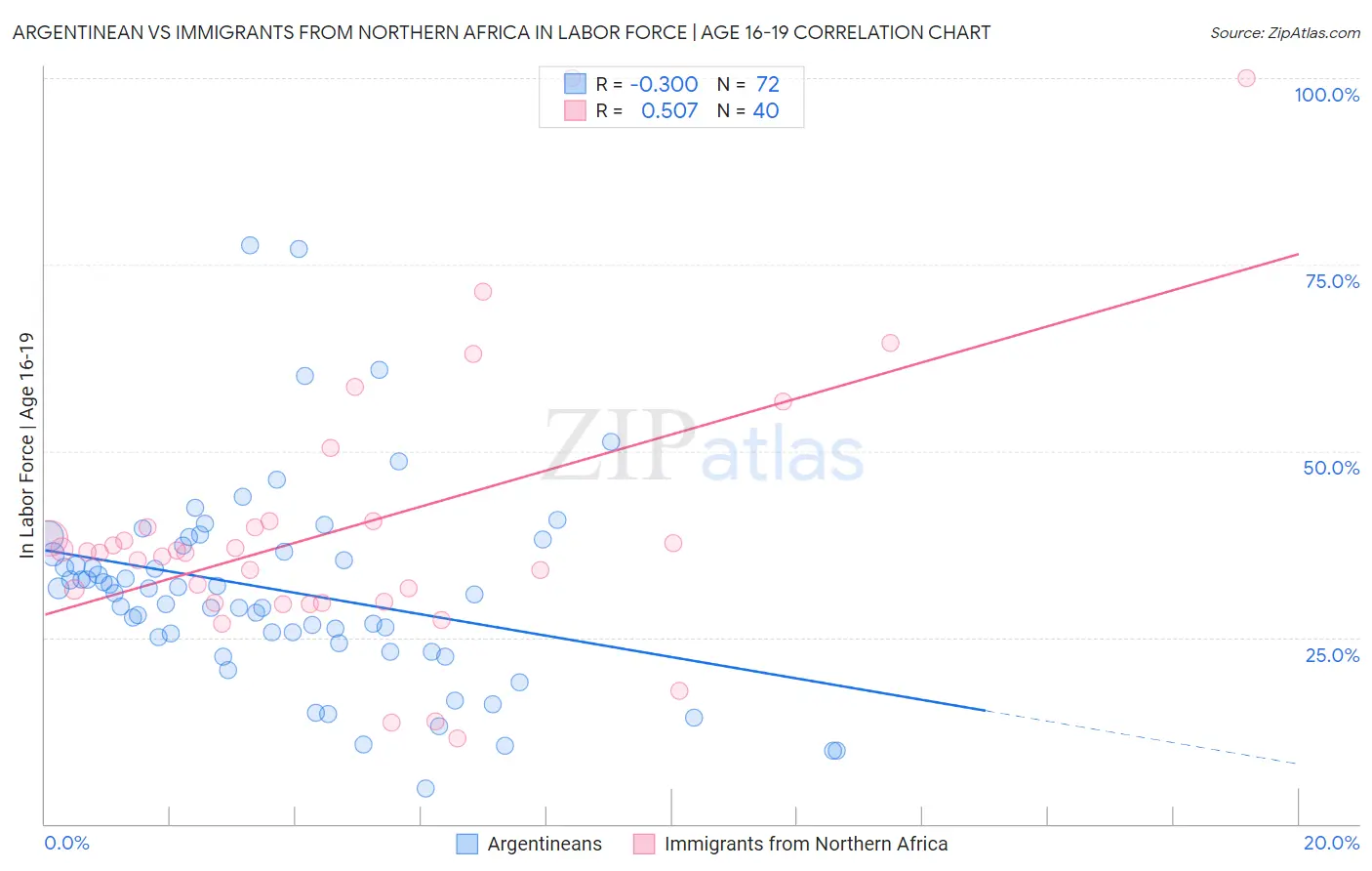 Argentinean vs Immigrants from Northern Africa In Labor Force | Age 16-19