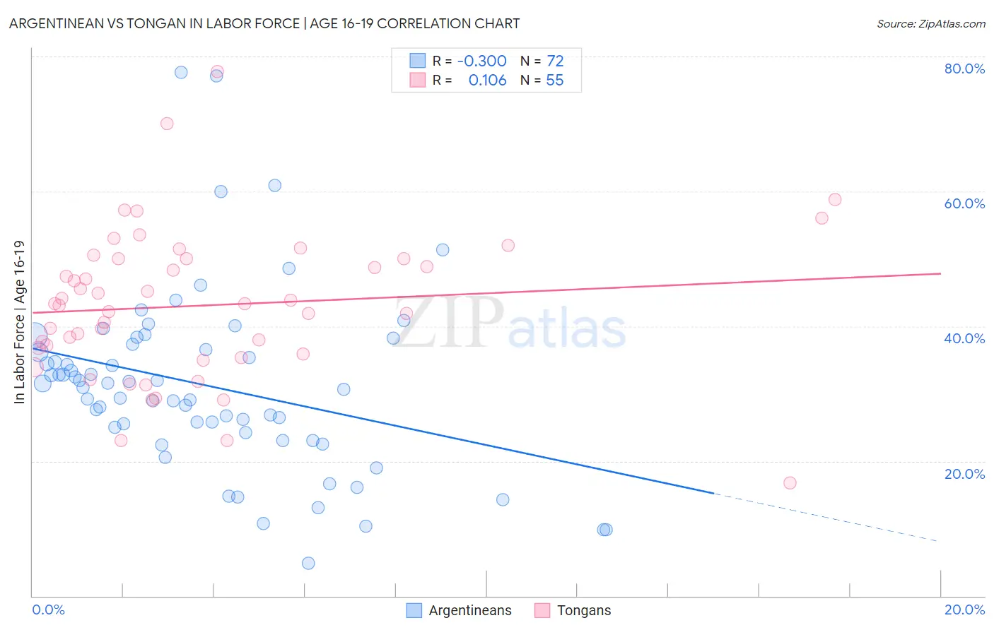 Argentinean vs Tongan In Labor Force | Age 16-19