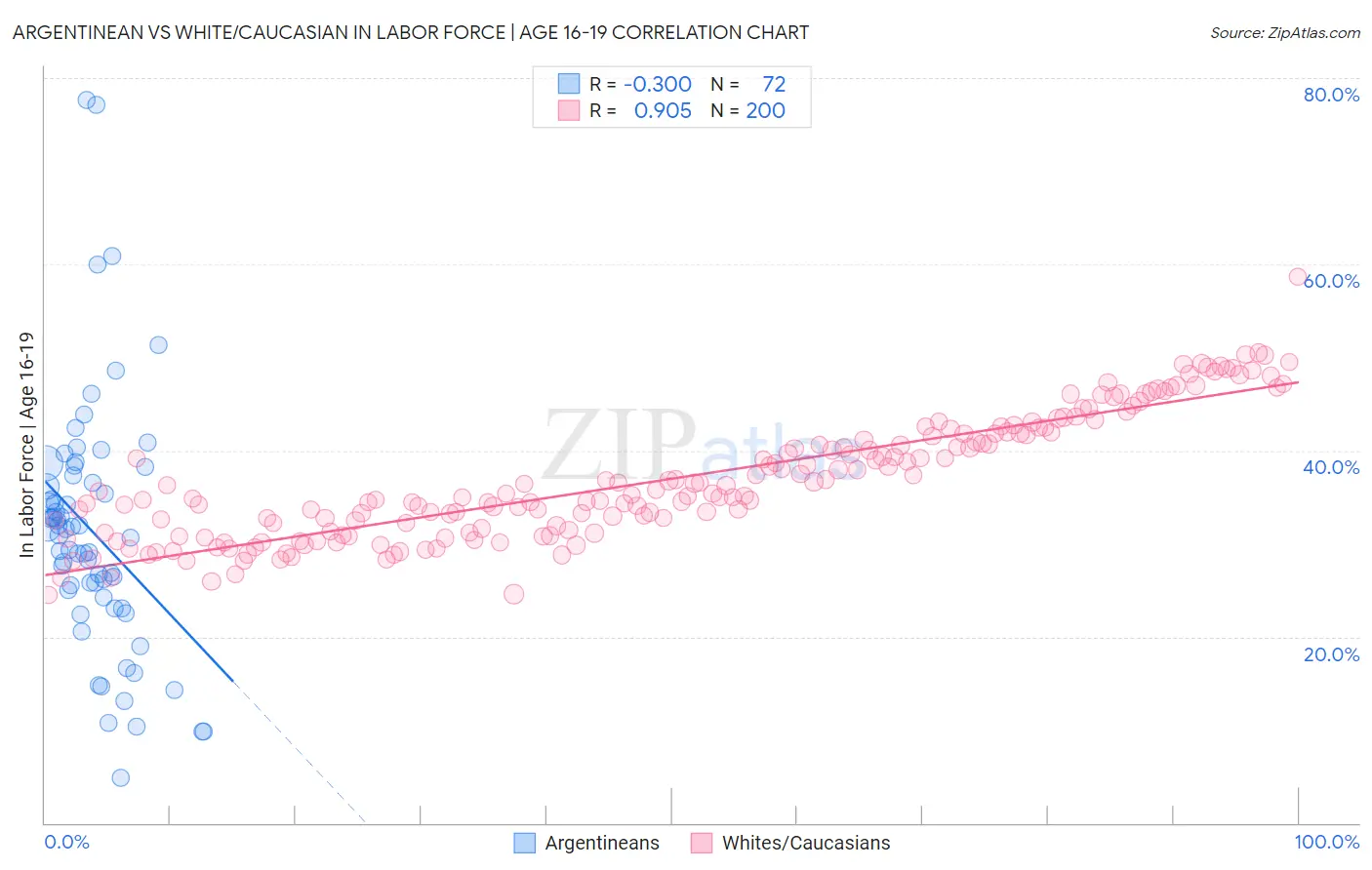 Argentinean vs White/Caucasian In Labor Force | Age 16-19