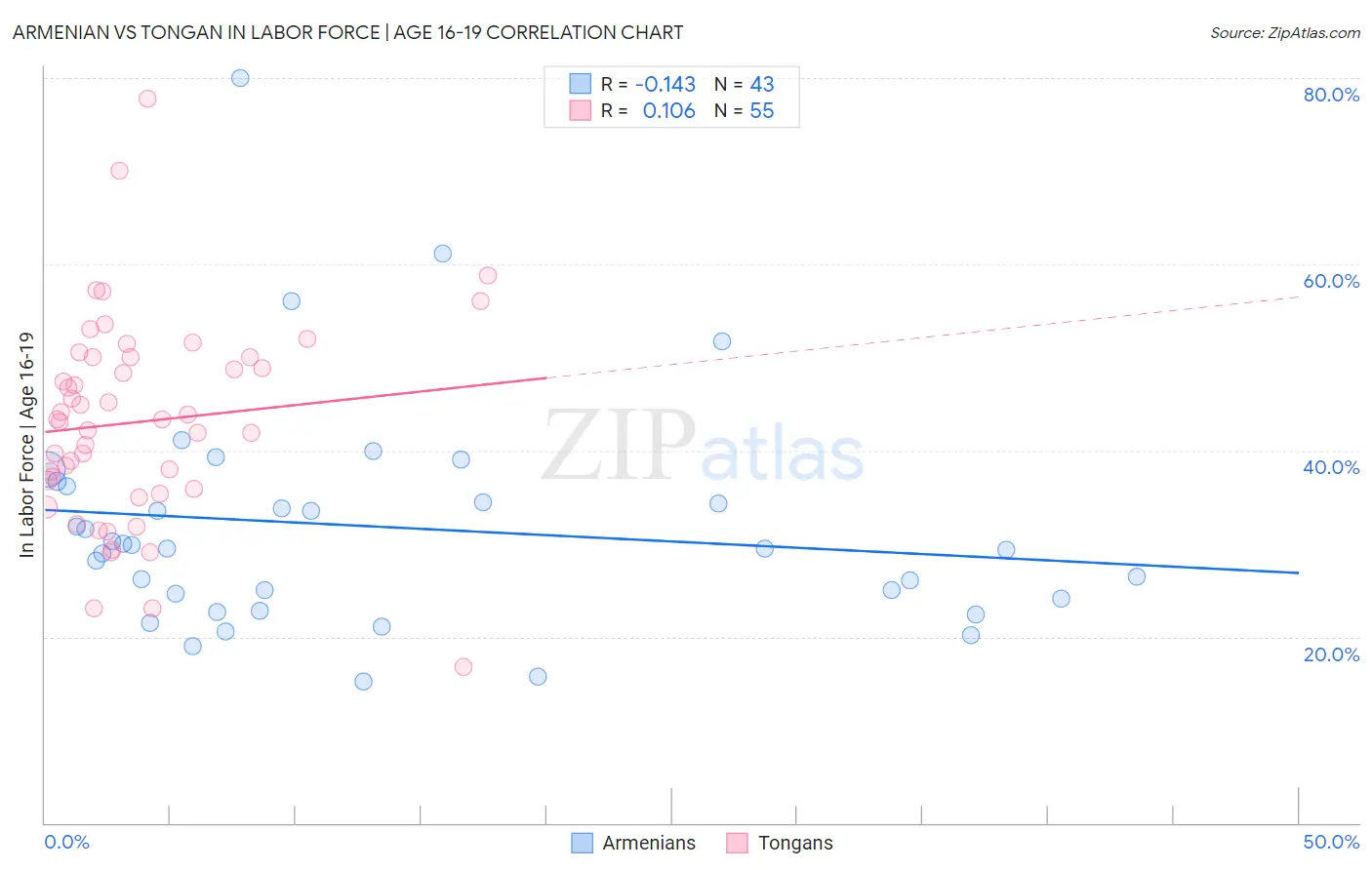 Armenian vs Tongan In Labor Force | Age 16-19