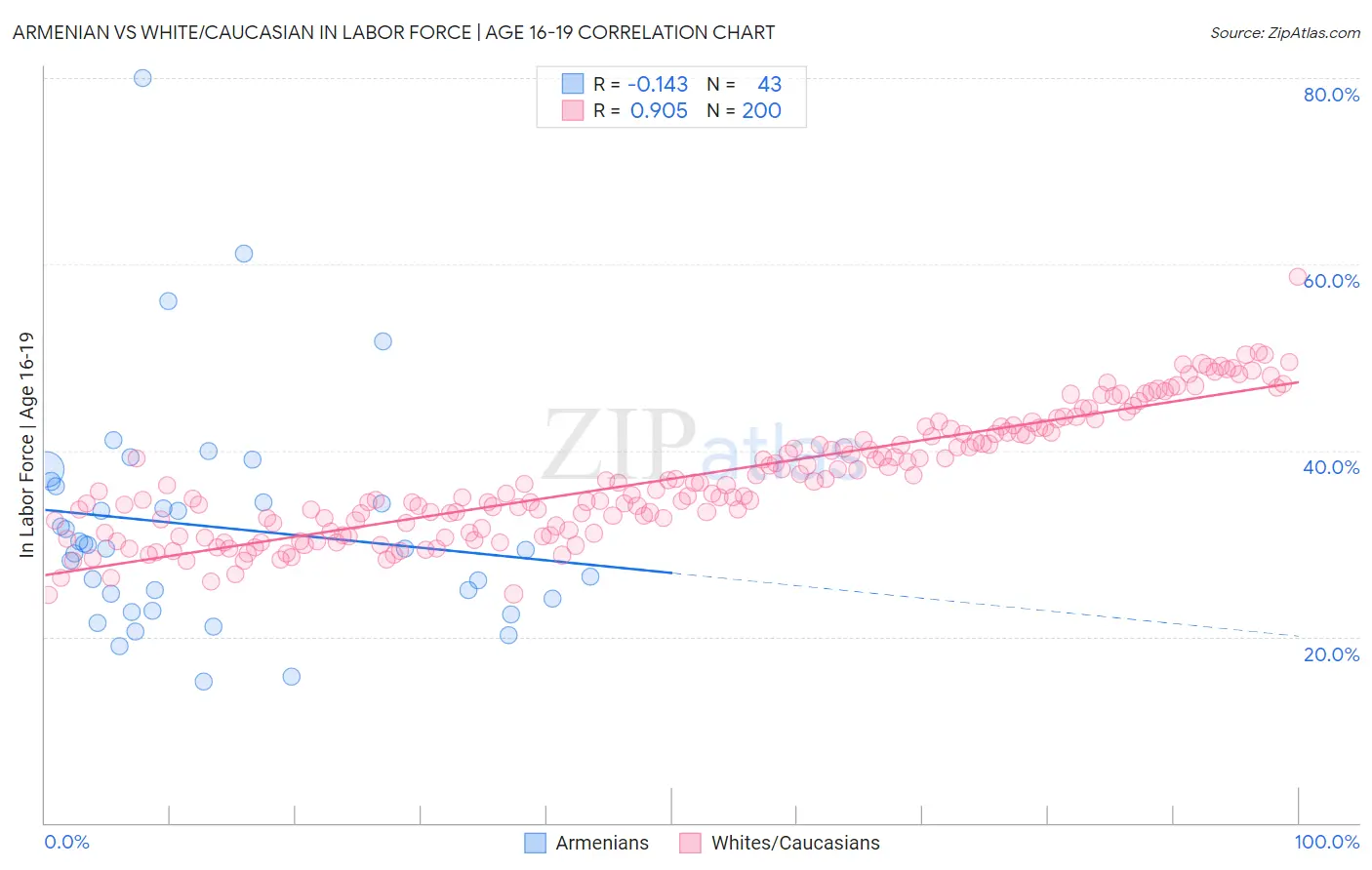 Armenian vs White/Caucasian In Labor Force | Age 16-19