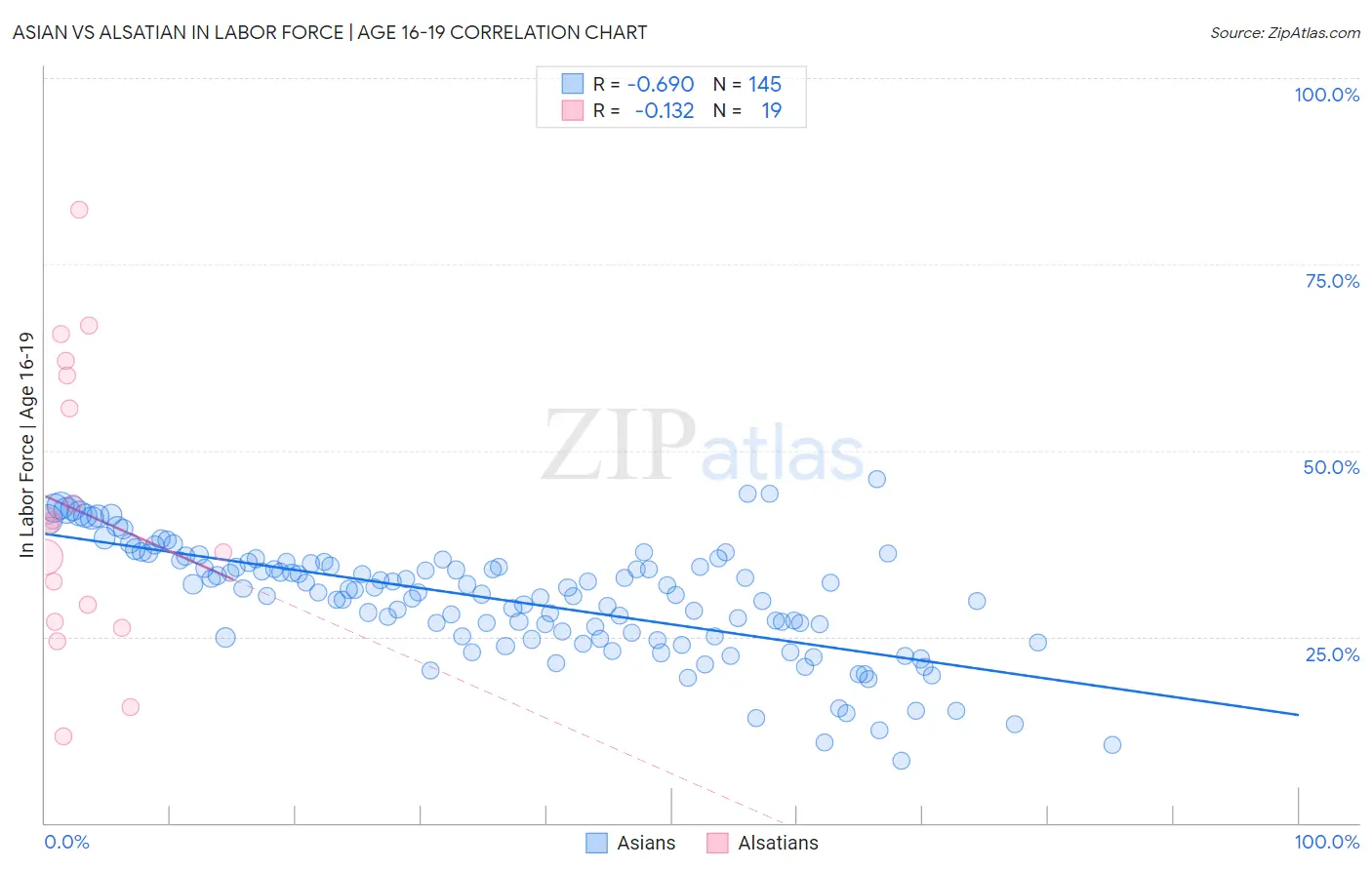 Asian vs Alsatian In Labor Force | Age 16-19