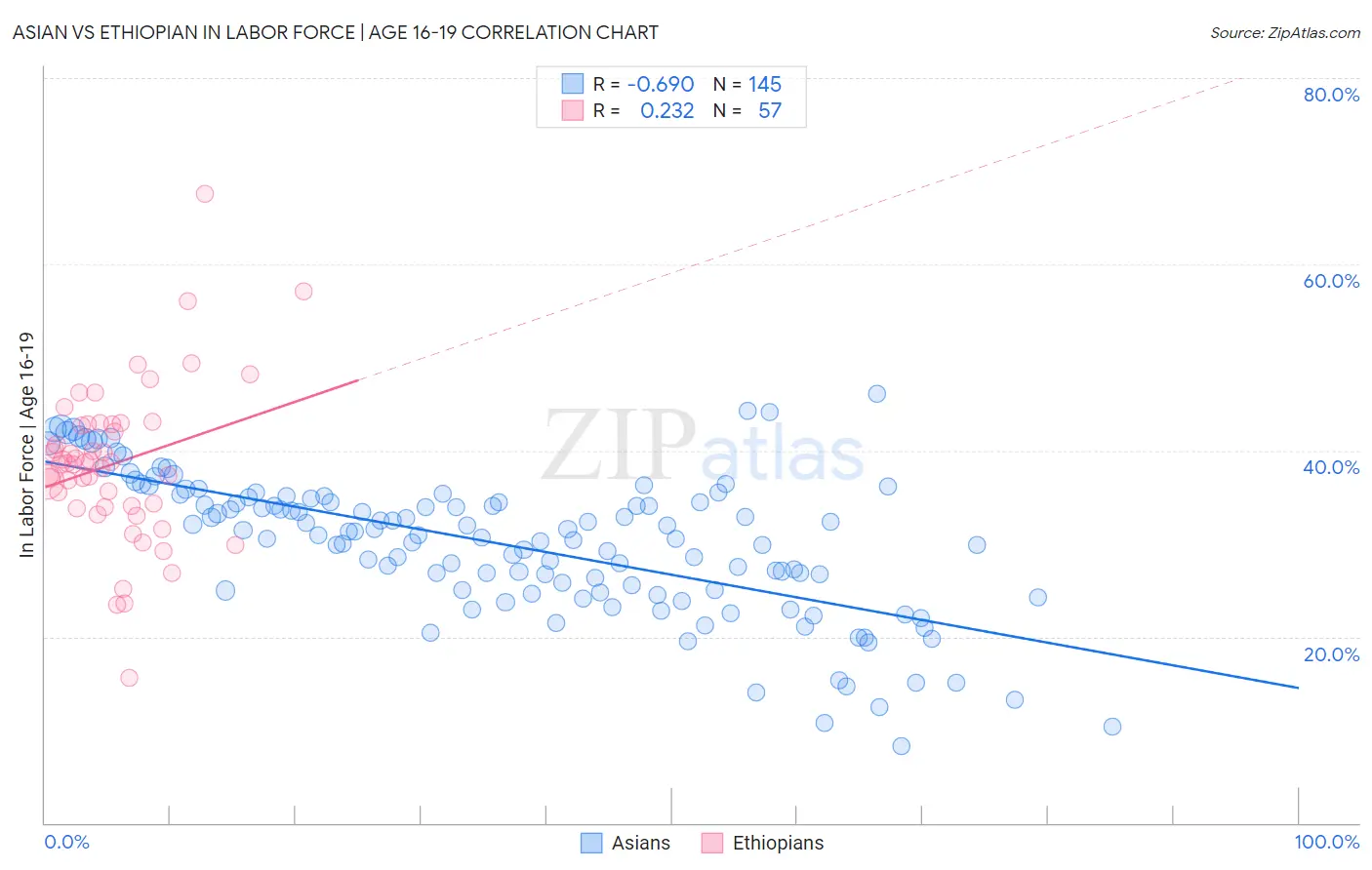 Asian vs Ethiopian In Labor Force | Age 16-19
