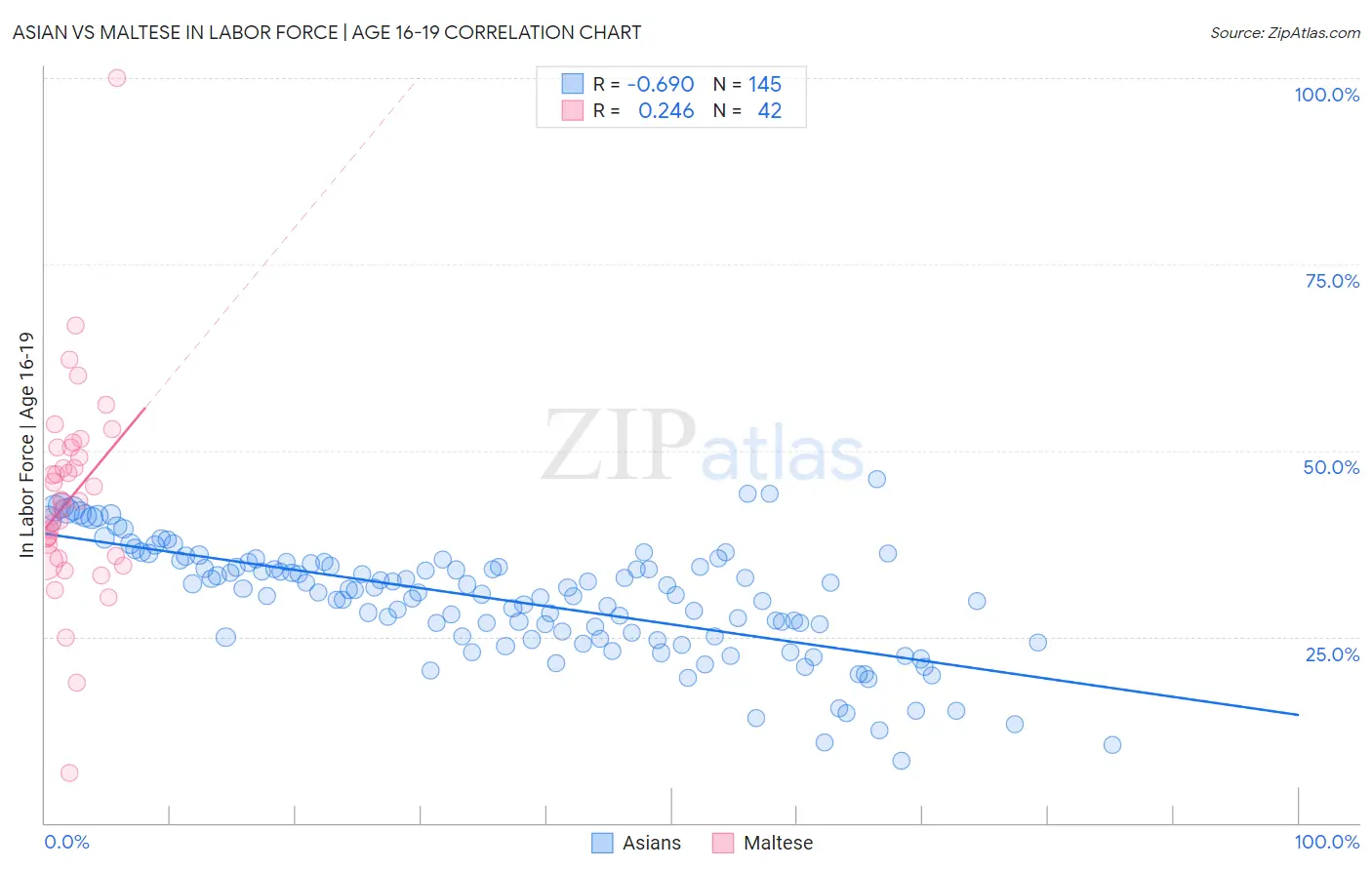 Asian vs Maltese In Labor Force | Age 16-19