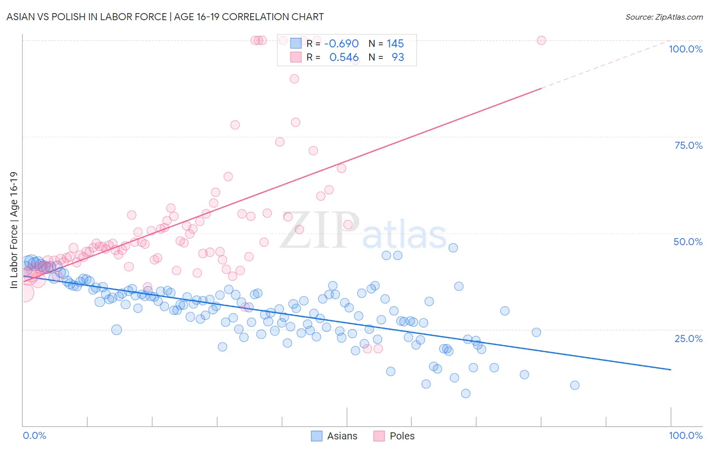 Asian vs Polish In Labor Force | Age 16-19