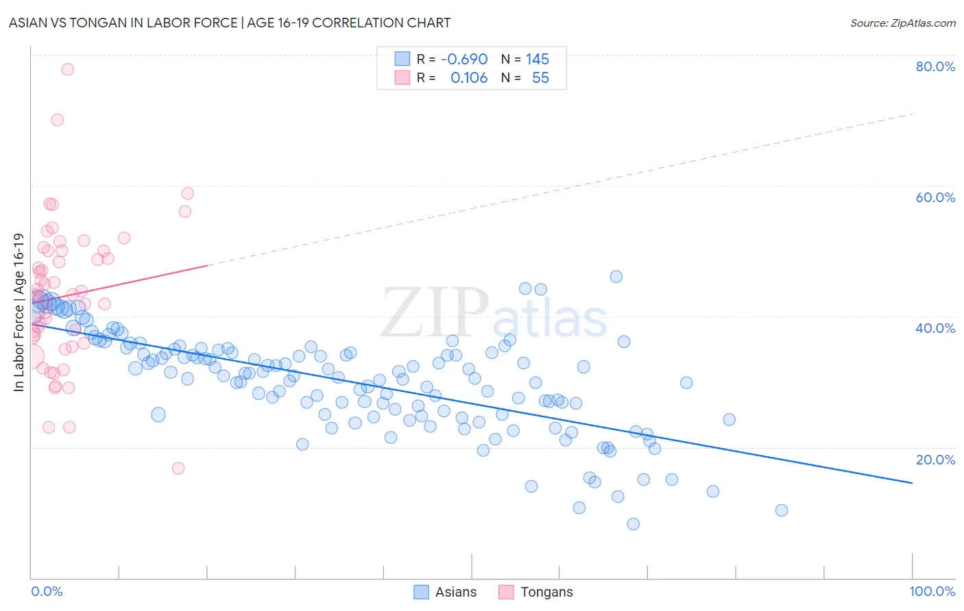 Asian vs Tongan In Labor Force | Age 16-19