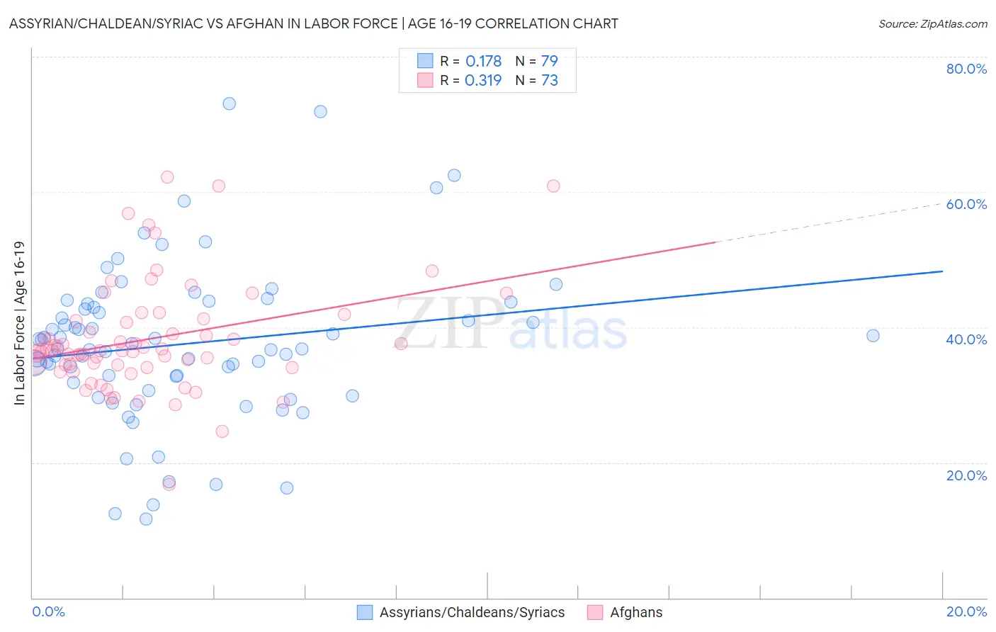 Assyrian/Chaldean/Syriac vs Afghan In Labor Force | Age 16-19