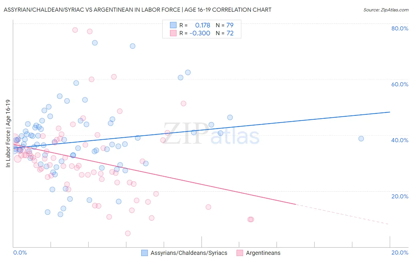Assyrian/Chaldean/Syriac vs Argentinean In Labor Force | Age 16-19