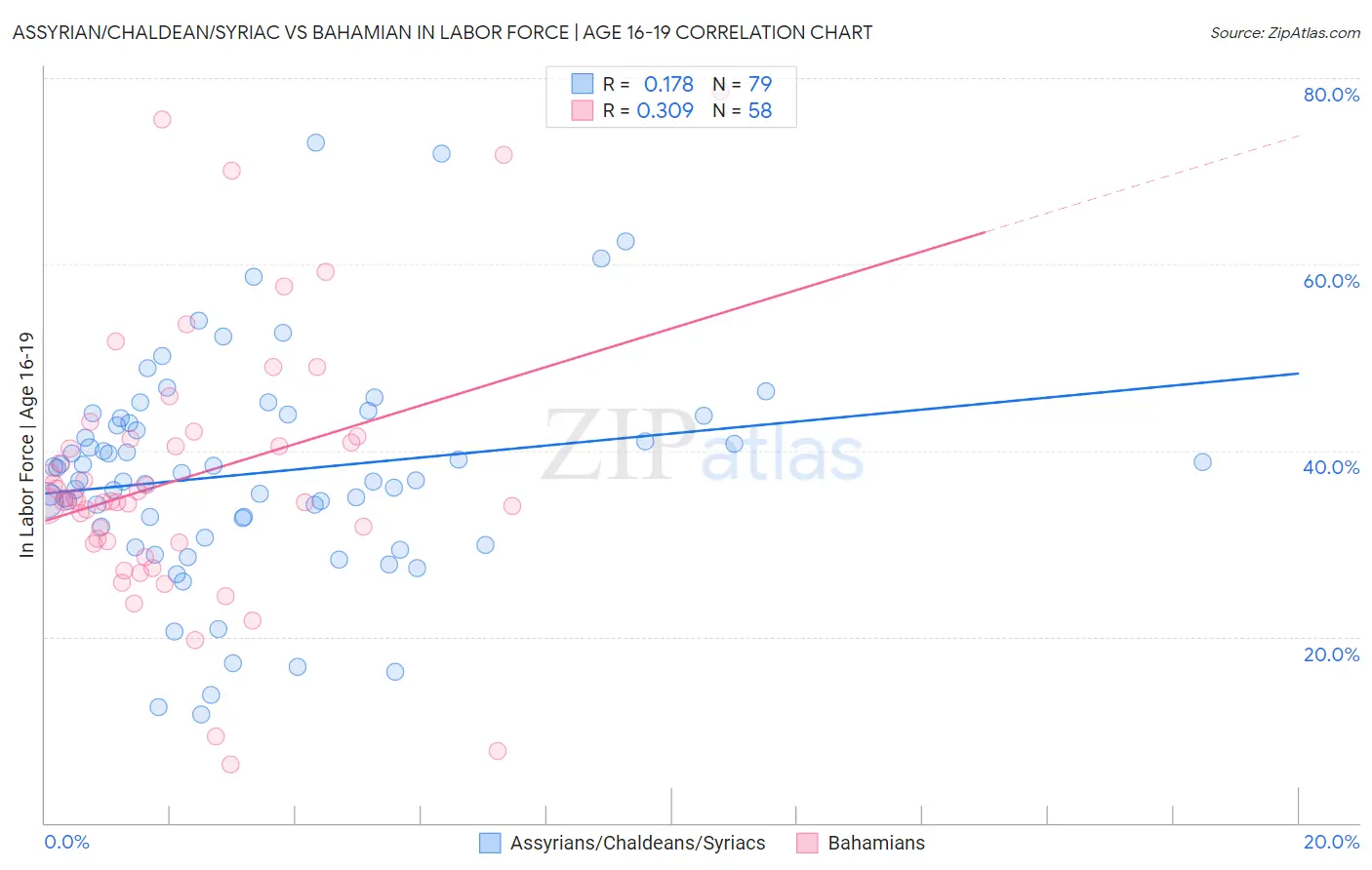 Assyrian/Chaldean/Syriac vs Bahamian In Labor Force | Age 16-19