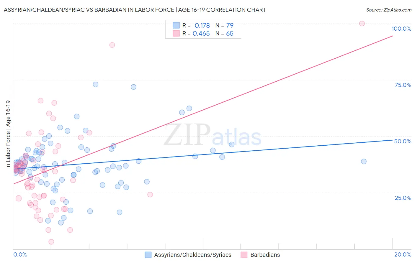 Assyrian/Chaldean/Syriac vs Barbadian In Labor Force | Age 16-19