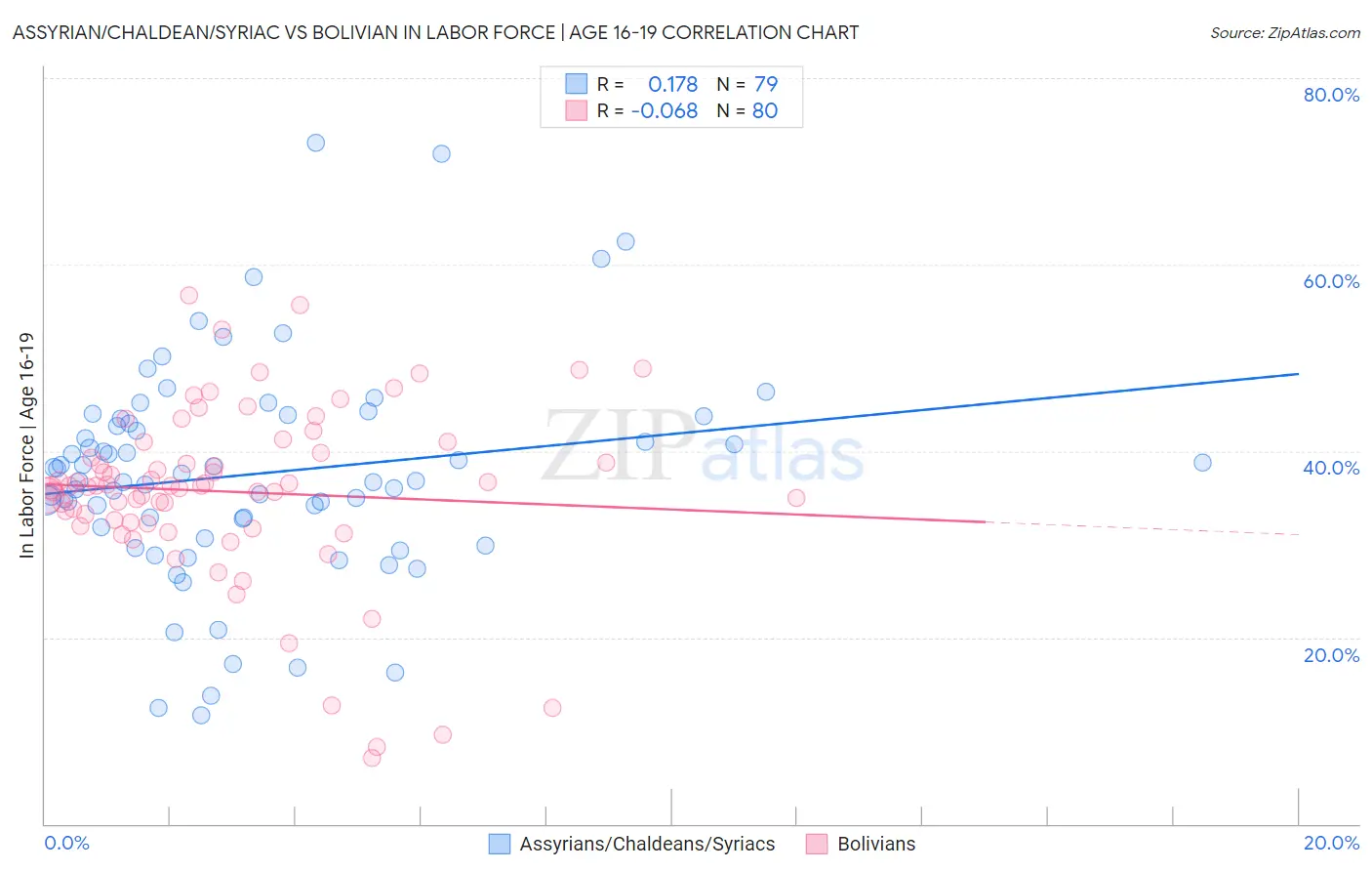 Assyrian/Chaldean/Syriac vs Bolivian In Labor Force | Age 16-19