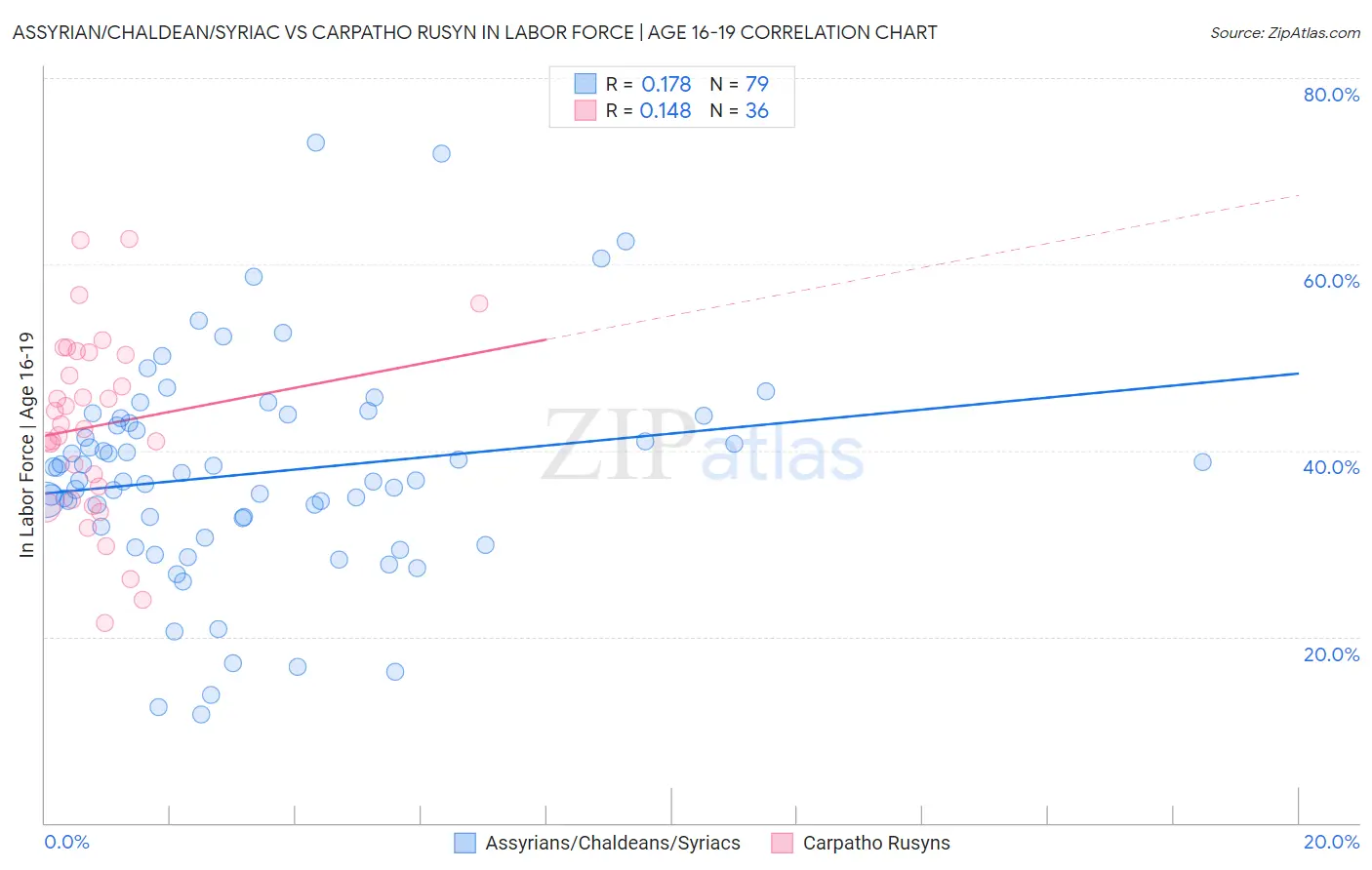 Assyrian/Chaldean/Syriac vs Carpatho Rusyn In Labor Force | Age 16-19