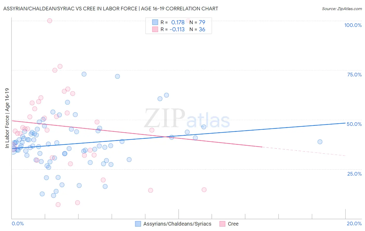 Assyrian/Chaldean/Syriac vs Cree In Labor Force | Age 16-19