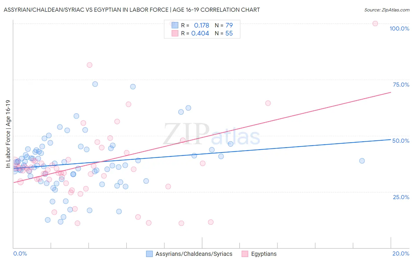 Assyrian/Chaldean/Syriac vs Egyptian In Labor Force | Age 16-19