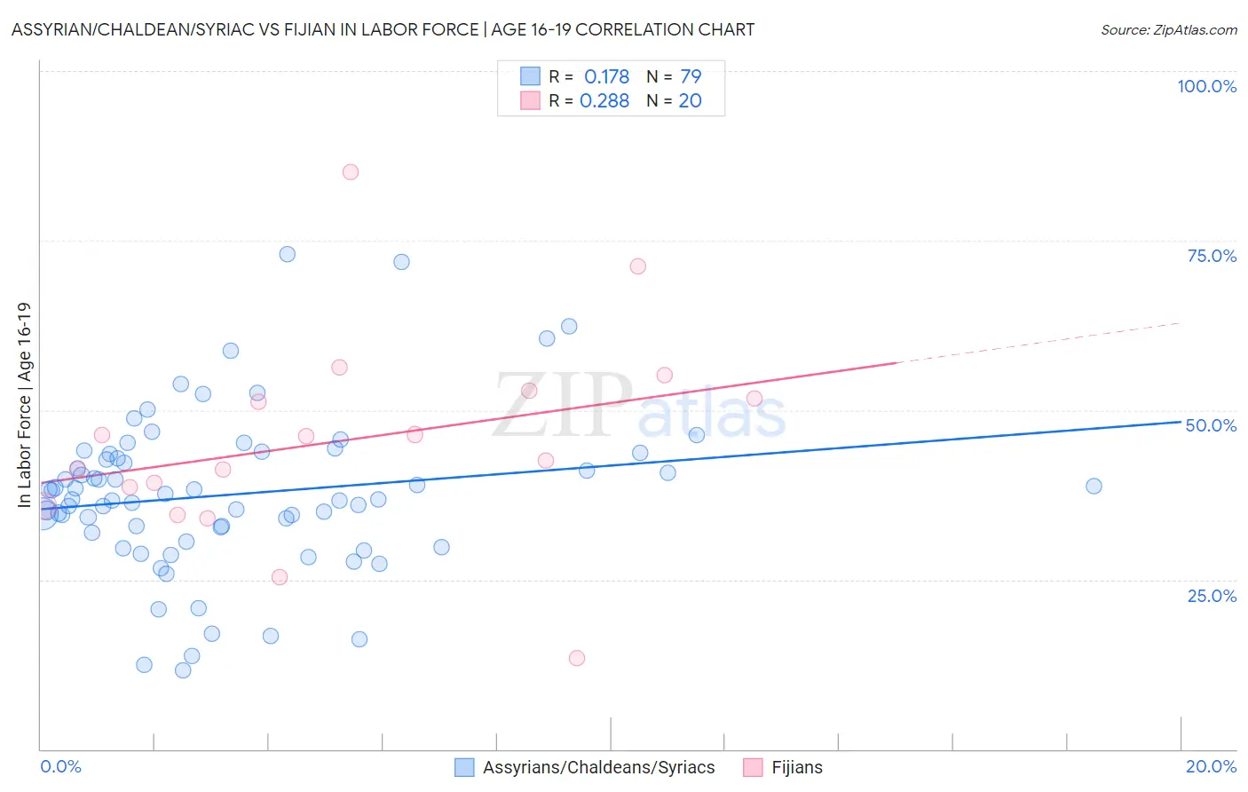 Assyrian/Chaldean/Syriac vs Fijian In Labor Force | Age 16-19