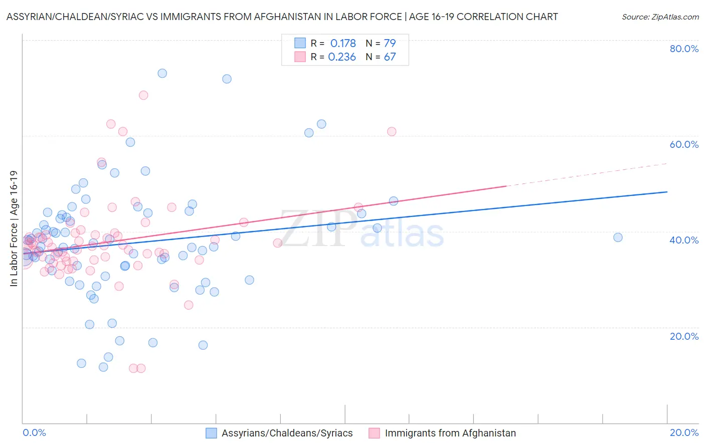 Assyrian/Chaldean/Syriac vs Immigrants from Afghanistan In Labor Force | Age 16-19