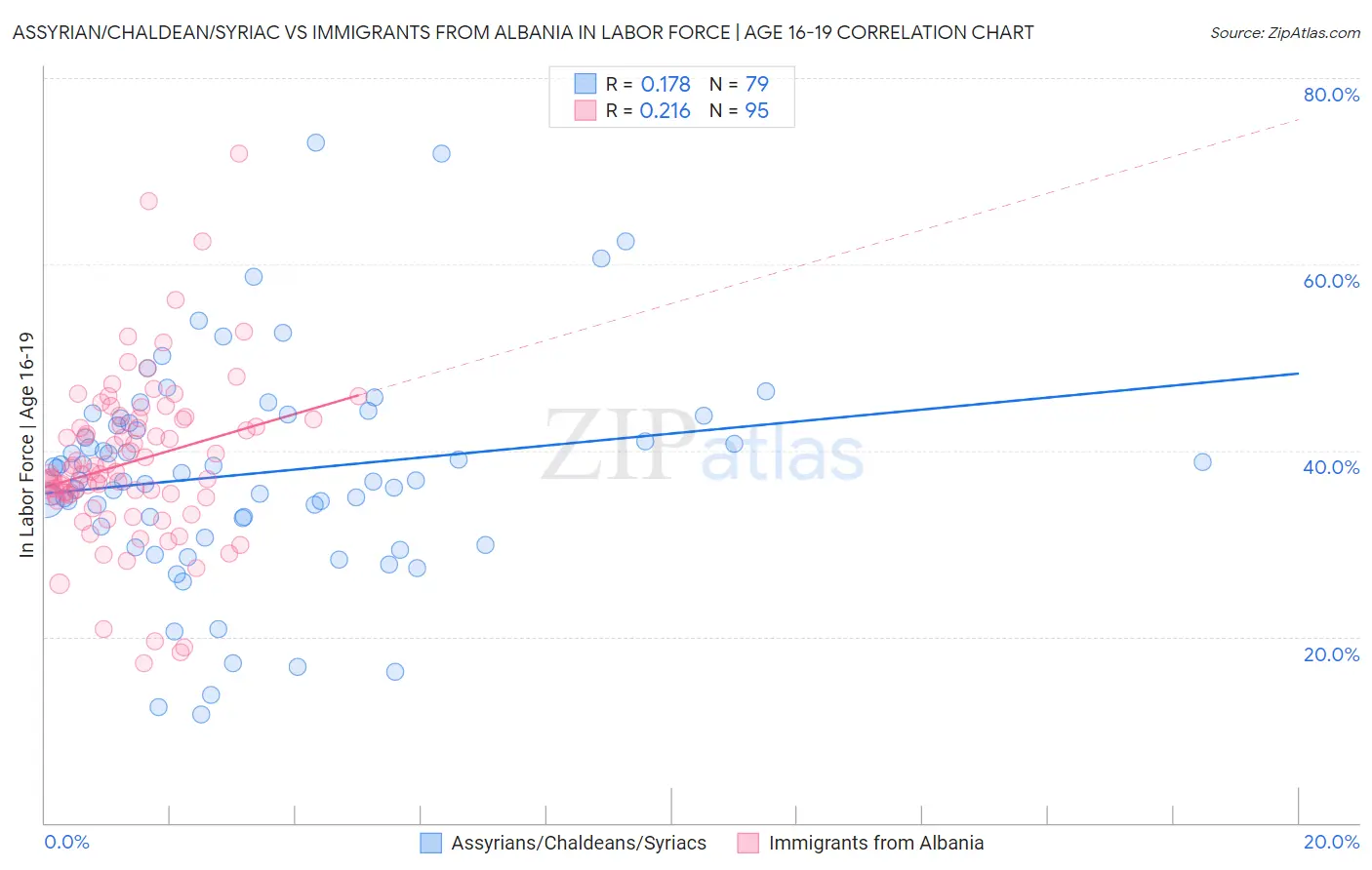 Assyrian/Chaldean/Syriac vs Immigrants from Albania In Labor Force | Age 16-19