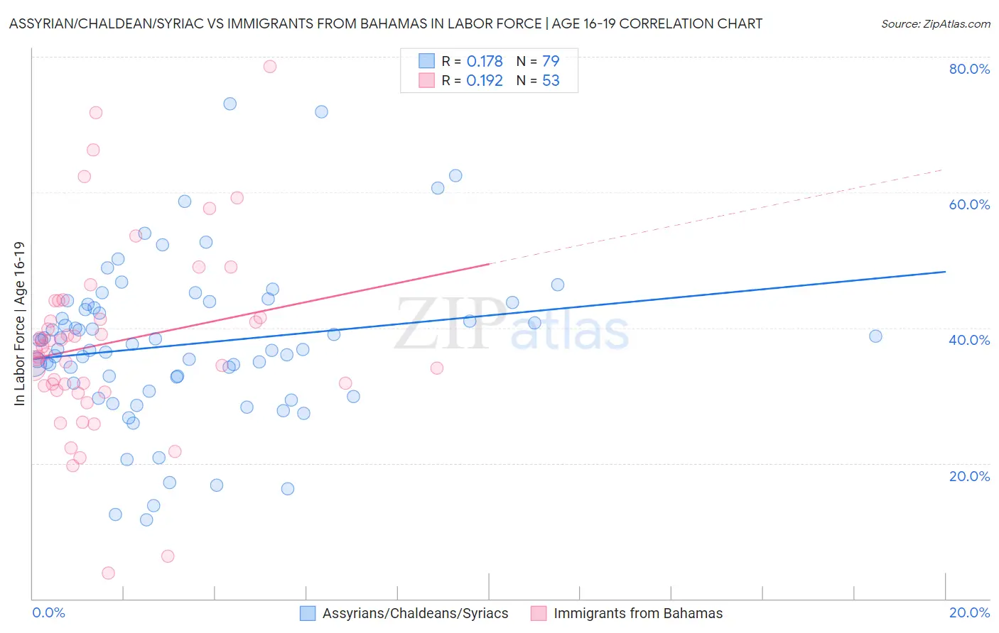 Assyrian/Chaldean/Syriac vs Immigrants from Bahamas In Labor Force | Age 16-19