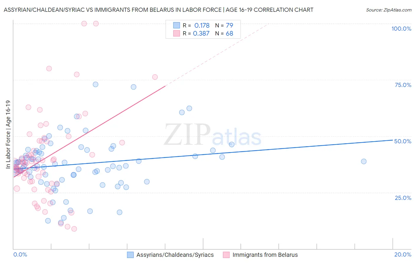 Assyrian/Chaldean/Syriac vs Immigrants from Belarus In Labor Force | Age 16-19