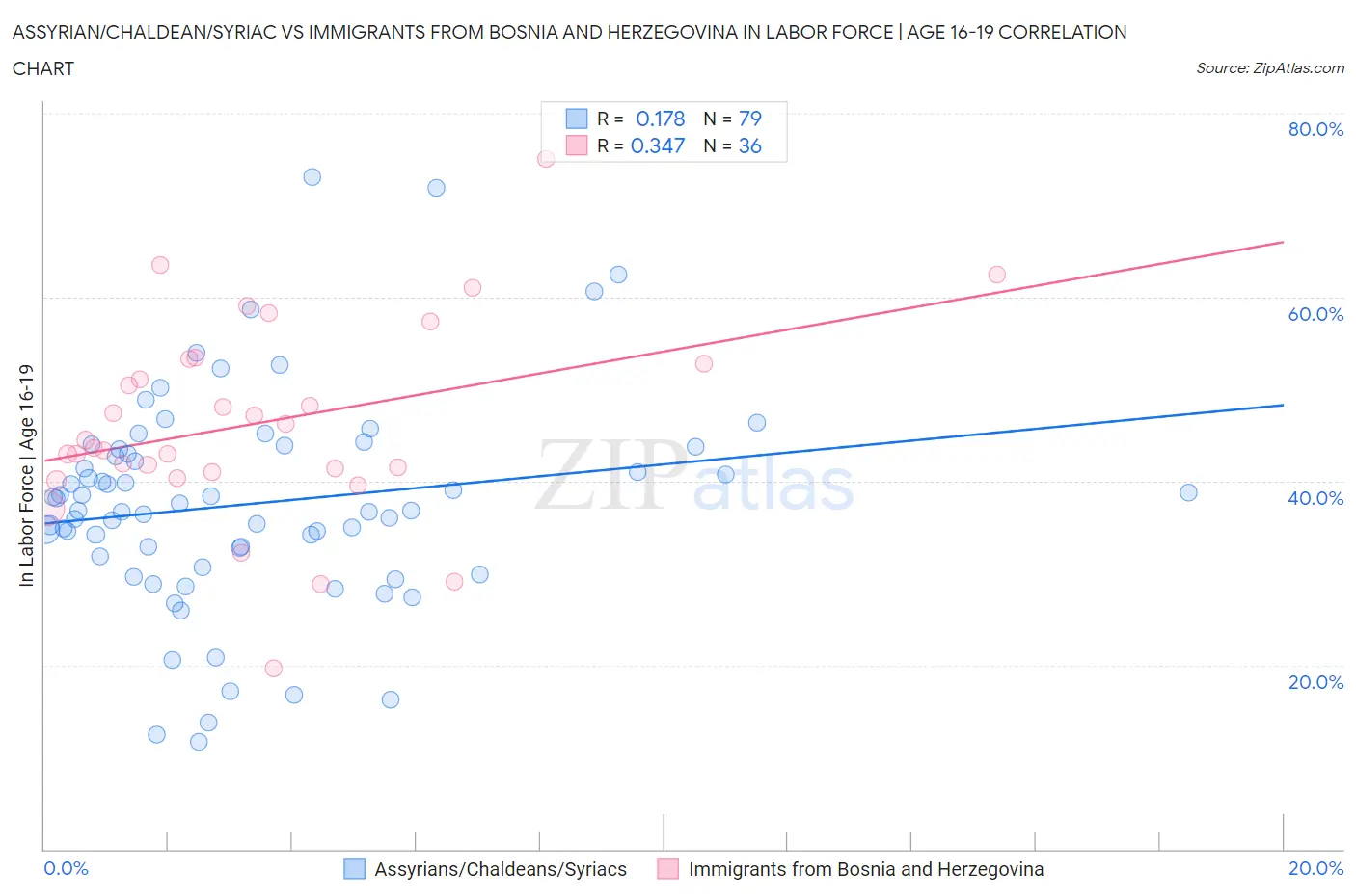 Assyrian/Chaldean/Syriac vs Immigrants from Bosnia and Herzegovina In Labor Force | Age 16-19