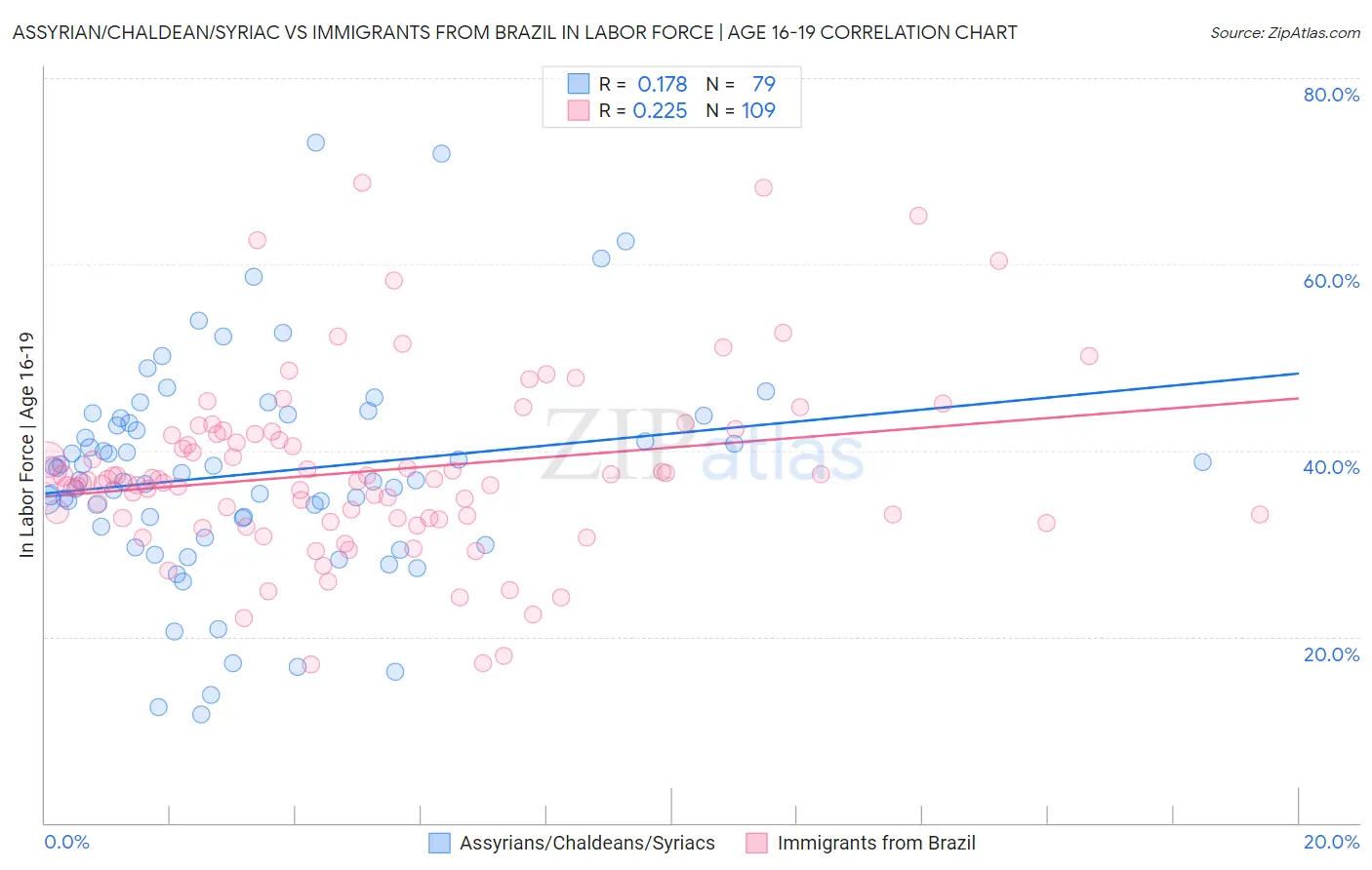 Assyrian/Chaldean/Syriac vs Immigrants from Brazil In Labor Force | Age 16-19