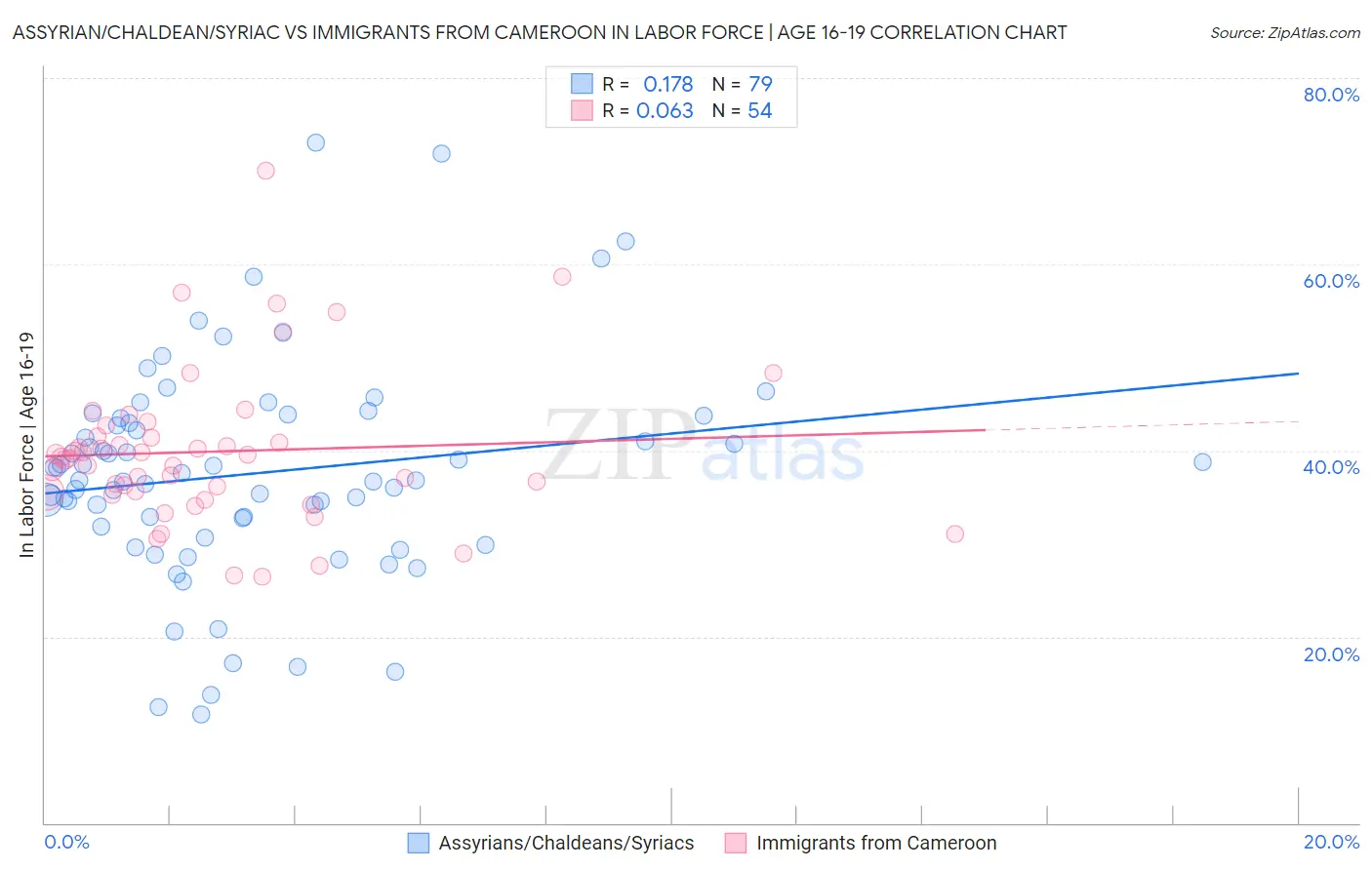 Assyrian/Chaldean/Syriac vs Immigrants from Cameroon In Labor Force | Age 16-19