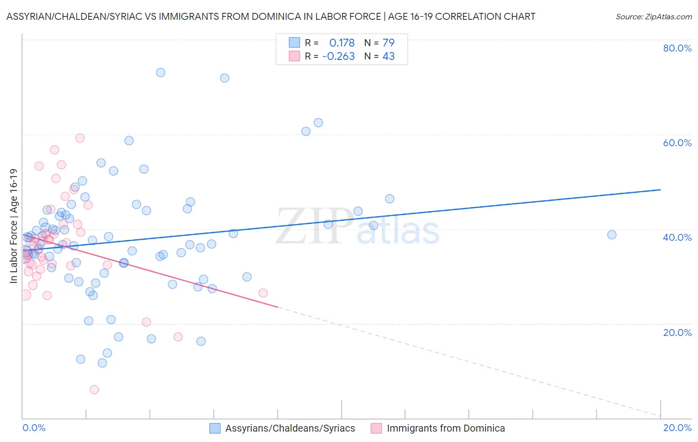 Assyrian/Chaldean/Syriac vs Immigrants from Dominica In Labor Force | Age 16-19