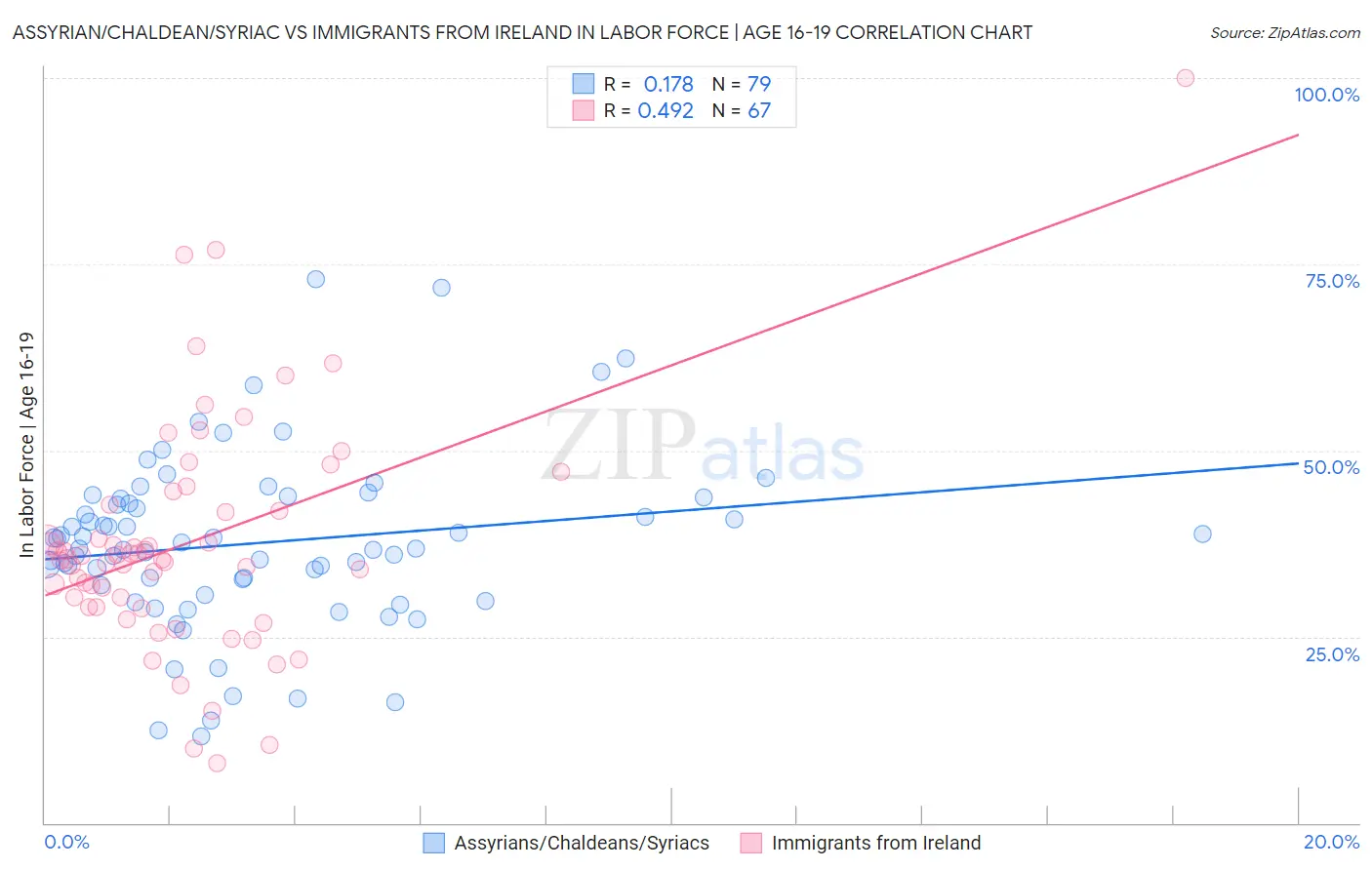 Assyrian/Chaldean/Syriac vs Immigrants from Ireland In Labor Force | Age 16-19
