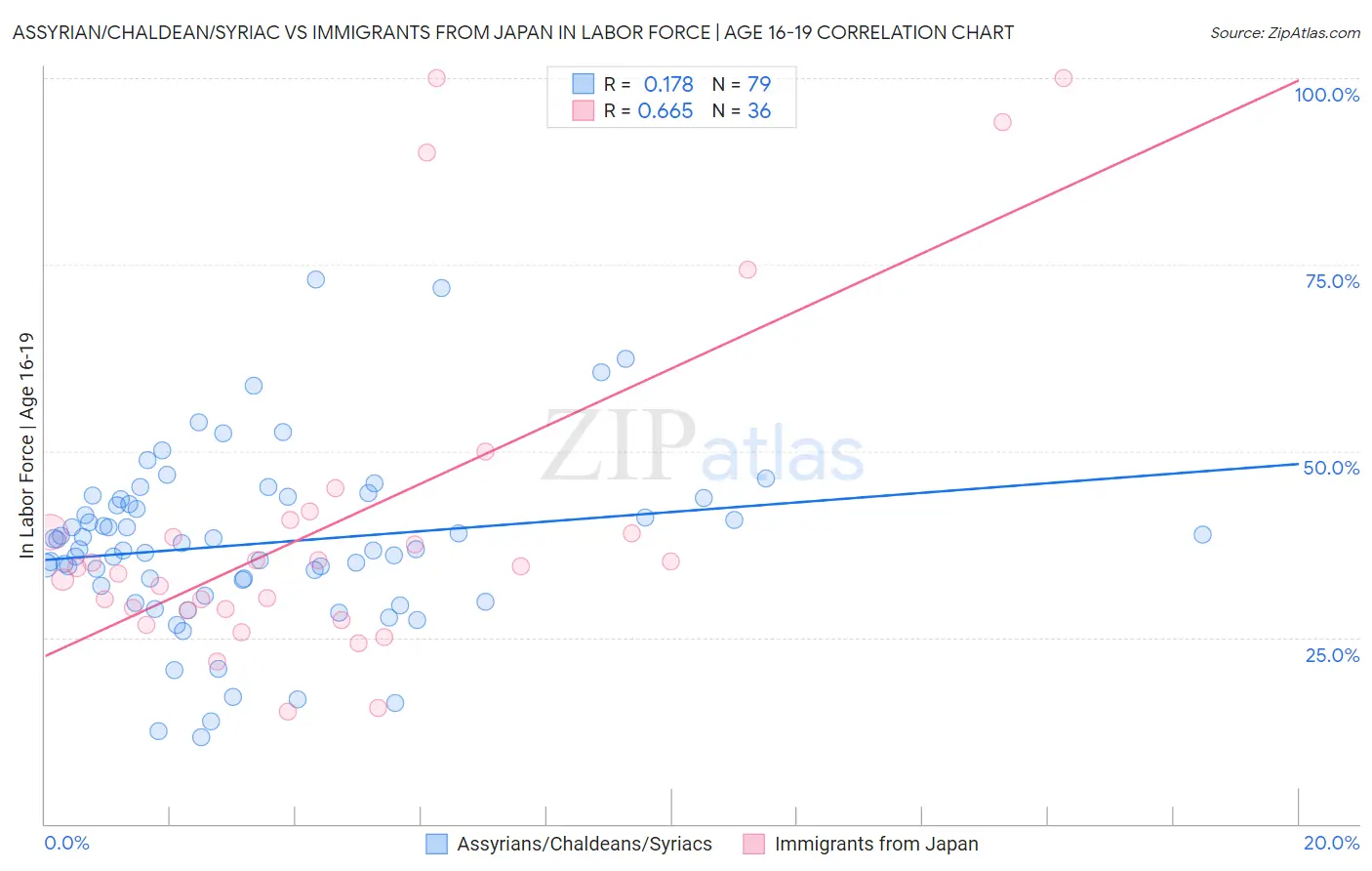 Assyrian/Chaldean/Syriac vs Immigrants from Japan In Labor Force | Age 16-19