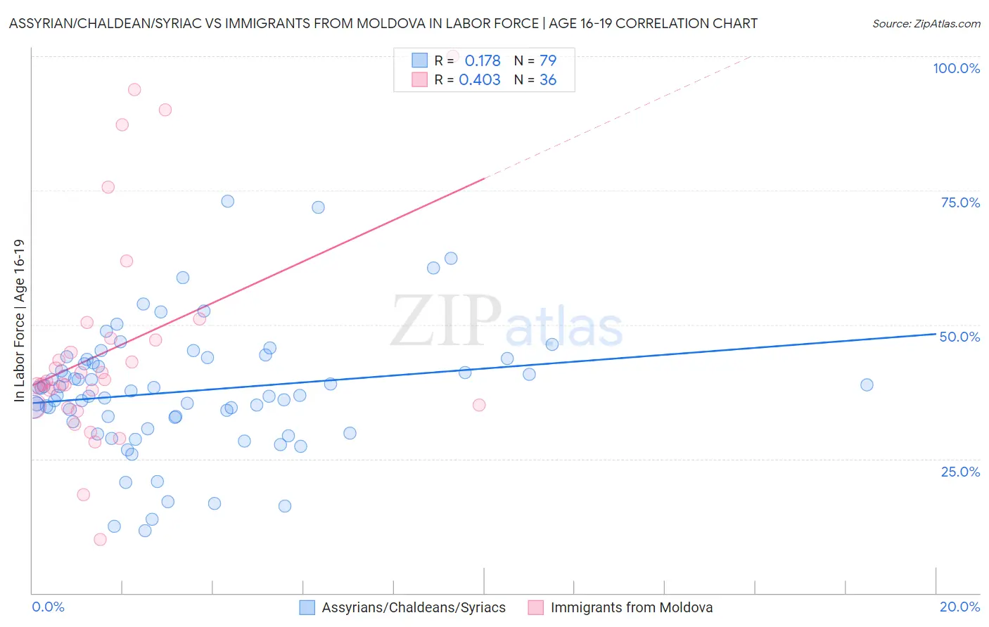 Assyrian/Chaldean/Syriac vs Immigrants from Moldova In Labor Force | Age 16-19