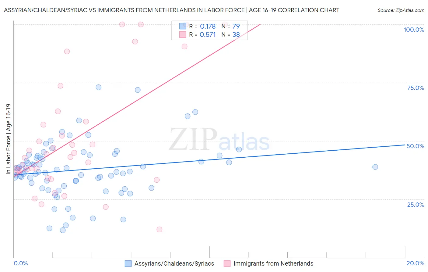 Assyrian/Chaldean/Syriac vs Immigrants from Netherlands In Labor Force | Age 16-19