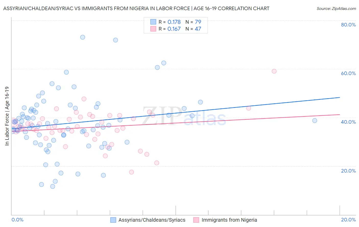 Assyrian/Chaldean/Syriac vs Immigrants from Nigeria In Labor Force | Age 16-19