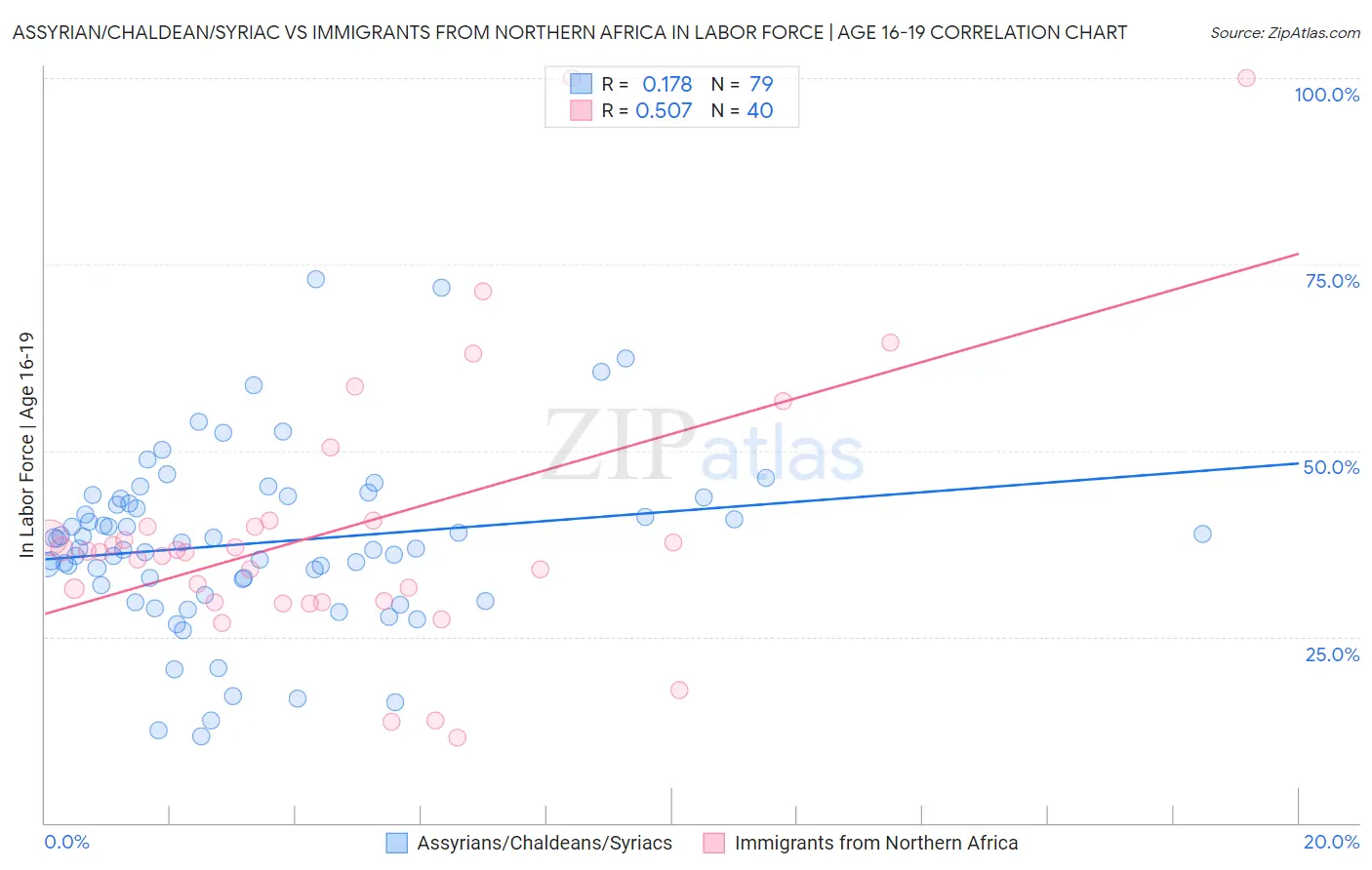 Assyrian/Chaldean/Syriac vs Immigrants from Northern Africa In Labor Force | Age 16-19