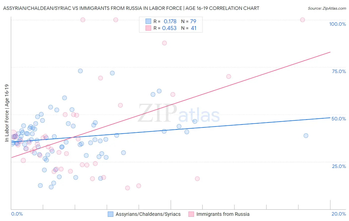 Assyrian/Chaldean/Syriac vs Immigrants from Russia In Labor Force | Age 16-19