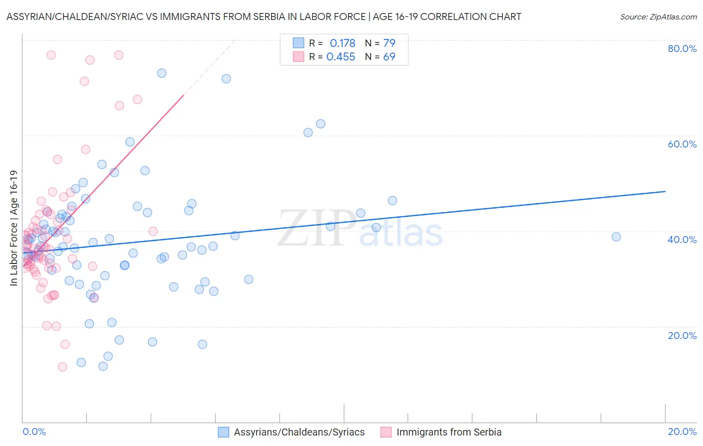 Assyrian/Chaldean/Syriac vs Immigrants from Serbia In Labor Force | Age 16-19